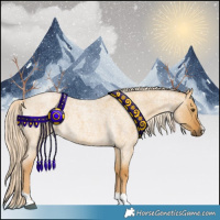 Horse Color:Palomino Roan Dun 