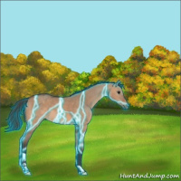 Horse Color:Thunderstruck Bay Dun 