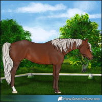 Horse Color:Silver Brown 