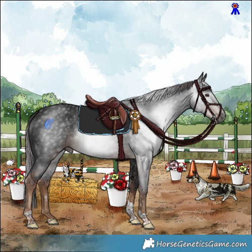 Horse Color:Gray Liver Chestnut Tobiano Rabicano 