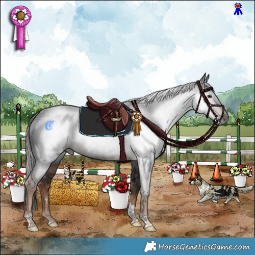 Horse Color:Gray Liver Chestnut Tobiano Rabicano 