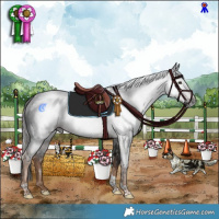 Horse Color:Gray Liver Chestnut Tobiano Rabicano