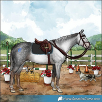 Horse Color:Gray Liver Chestnut Tobiano Rabicano