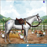 Horse Color:Gray Liver Chestnut Tobiano Rabicano