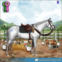 Horse Color:Gray Liver Chestnut Tobiano Rabicano 