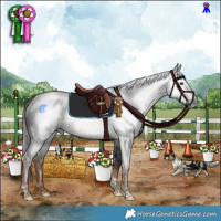 Horse Color:Gray Liver Chestnut Tobiano Rabicano 