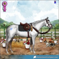 Horse Color:Gray Liver Chestnut Tobiano Rabicano 