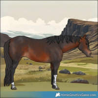 Horse Color:Bay Tobiano Rabicano 