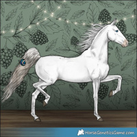 Horse Color:Liver Chestnut Frame 