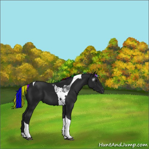 Horse Color:Gray Painted Smoky Black Tobiano 