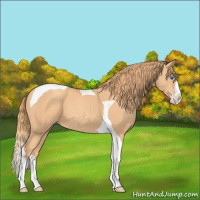 Horse Color:Gold Champagne Splash Tobiano 