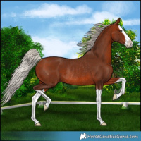 Horse Color:Silver Bay Splash Rabicano 