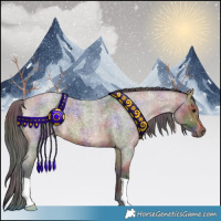 Horse Color:Nacre Bay Roan