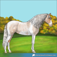 Horse Color:Silver Blue Roan Pearl Tobiano Frame