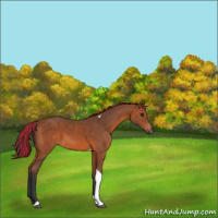 Horse Color:Painted Bay Tobiano 