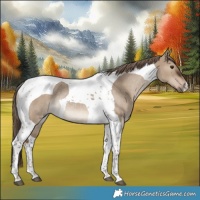 Horse Color:Liver Red Dun Tobiano Rabicano 