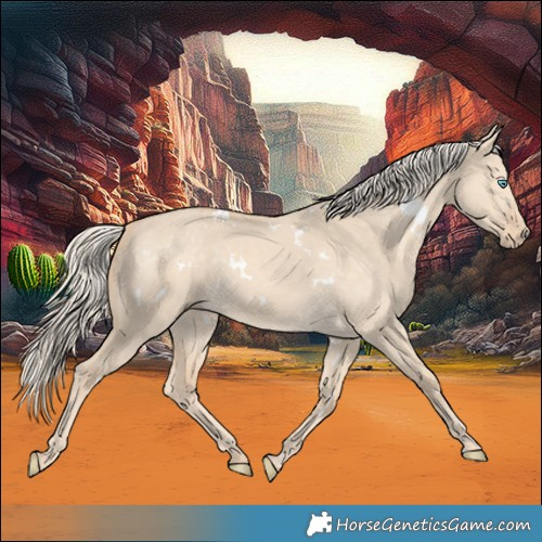 Horse Color:White Spotted Cremello Dun Rabicano