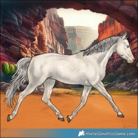 Horse Color:White Spotted Cremello Dun Rabicano 