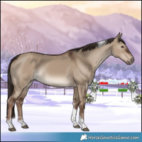 Horse Color:Liver Red Dun Tobiano Rabicano 