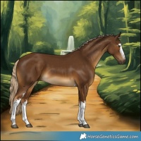 Horse Color:White Spotted Chocolate Palomino Tobiano 