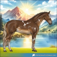 Horse Color:White Spotted Chocolate Palomino