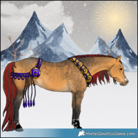 Horse Color:Painted Buckskin 