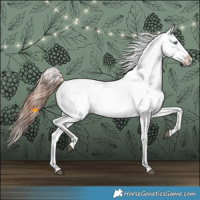 Horse Color:Liver Chestnut Frame 