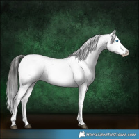 Horse Color:Liver Red Roan Frame