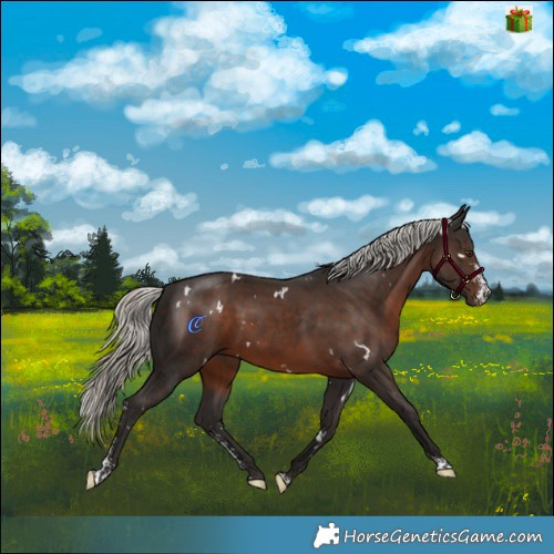 Horse Color:White Spotted Liver Chestnut Mushroom Sabino 