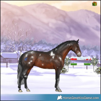 Horse Color:White Spotted Brown Mushroom Sabino