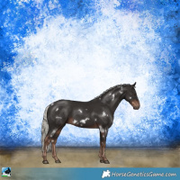 Horse Color:White Spotted Liver Chestnut Mushroom Sabino 