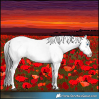 Horse Color:Liver Chestnut Frame 
