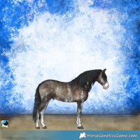 Horse Color:Brown Ice Onyx Sabino Rabicano