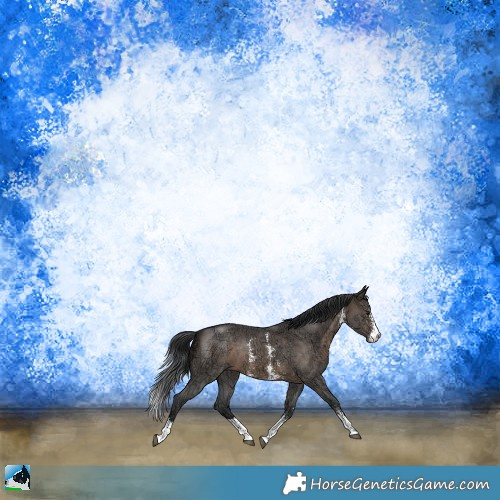 Horse Color:Brown Ice Dun Sabino 