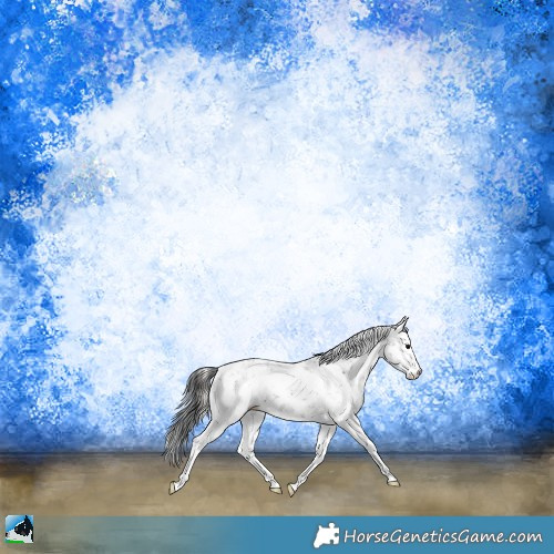 Horse Color:Brown Ice Onyx Sabino Rabicano 