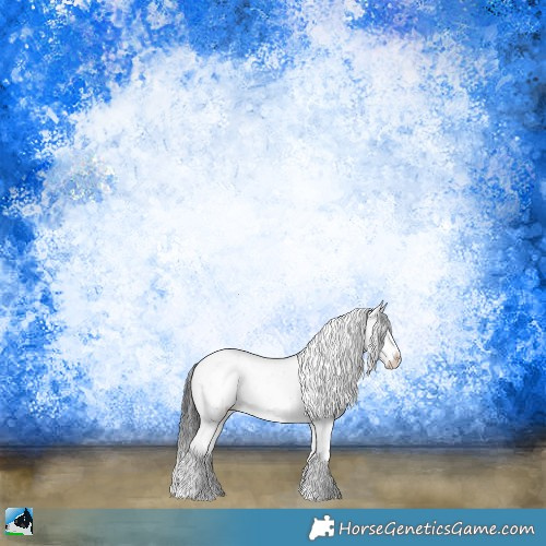 Horse Color:Black Sabino