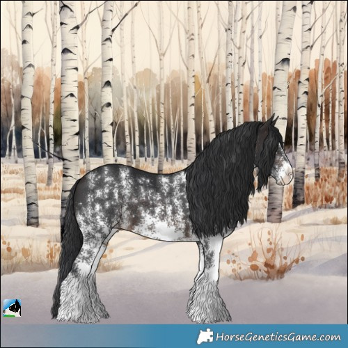 Horse Color:Brown Sabino Rabicano 