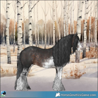 Horse Color:Brown Sabino Rabicano 