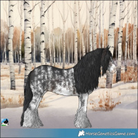 Horse Color:Brown Sabino Rabicano 