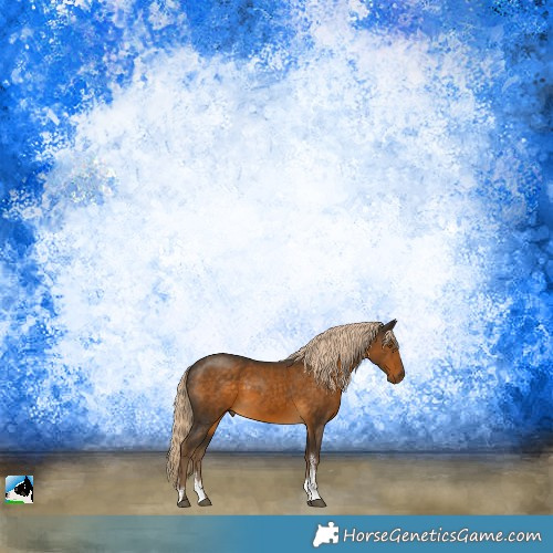 Horse Color:Chocolate Palomino Sabino Rabicano 