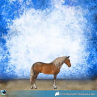 Horse Color:Chocolate Palomino Sabino Rabicano