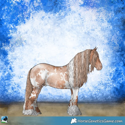 Horse Color:White Spotted Gold Champagne Ice Rabicano 