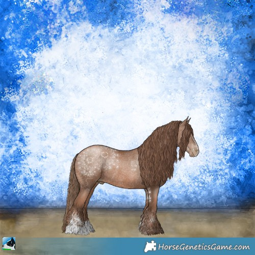 Horse Color:Black Pearl Sabino Rabicano 