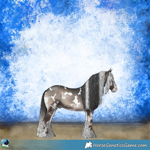 Horse Color:White Spotted Blue Onyx Sabino Rabicano 
