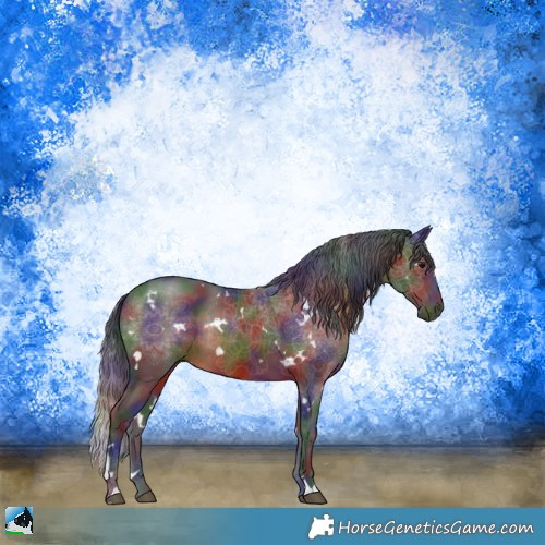 Horse Color:Nacre White Spotted Brown Sabino Rabicano 