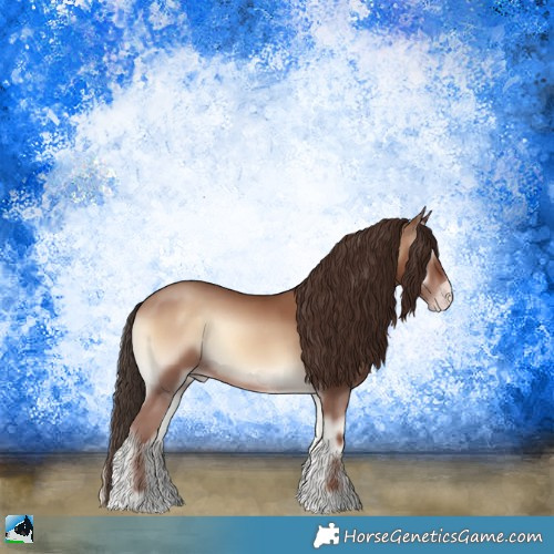 Horse Color:Classic Champagne Onyx Sabino Rabicano 