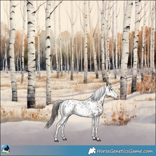 Horse Color:White Spotted Liver Chestnut Sabino Appaloosa Rabicano 