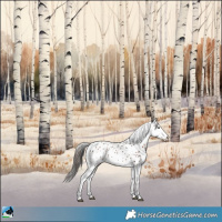 Horse Color:White Spotted Liver Chestnut Sabino Near Leopard Rabicano 