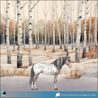 Horse Color:White Spotted Liver Chestnut Sabino Appaloosa Rabicano 