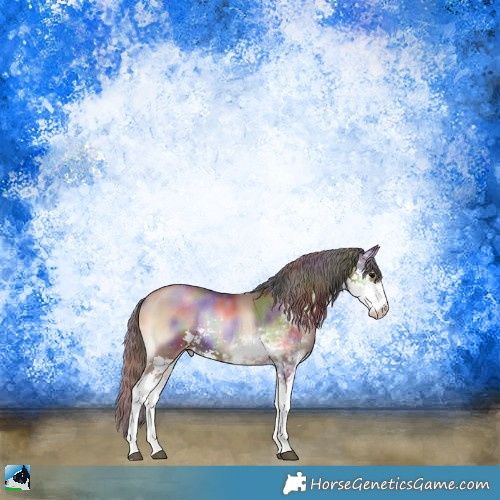 Horse Color:Nacre Blue Onyx Pearl Sabino Rabicano 